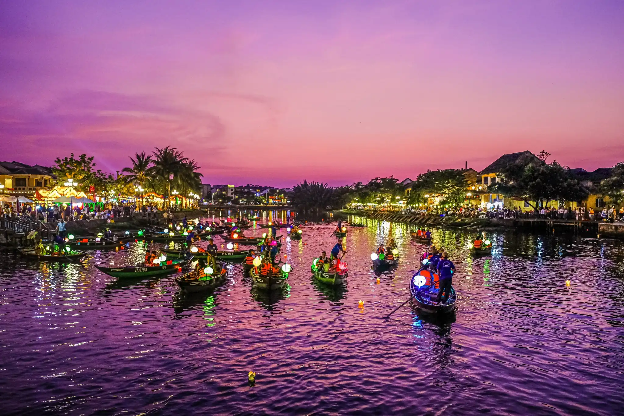 shutterstock_2388912409